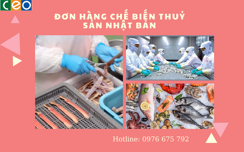 Đơn hàng chế biến thuỷ sản Nhật Bản