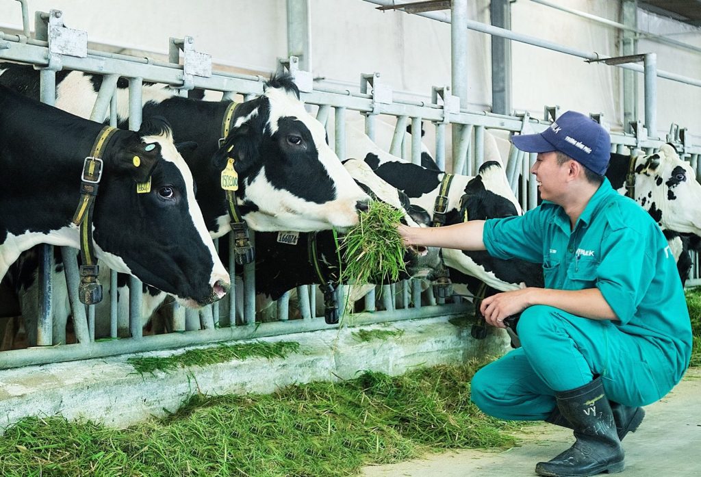 Đơn hàng nông nghiệp chăn nuôi Nhật Bản