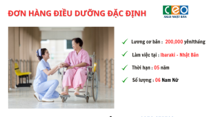 TUYỂN 06 NAM NỮ ĐIỀU DƯỠNG ĐẶC ĐỊNH LÀM VIỆC TẠI IBARAKI – NHẬT BẢN