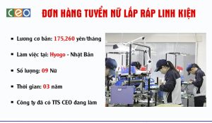 TUYỂN 09 NỮ LẮP RÁP LINH KIỆN TẠI HYOGO – NHẬT BẢN